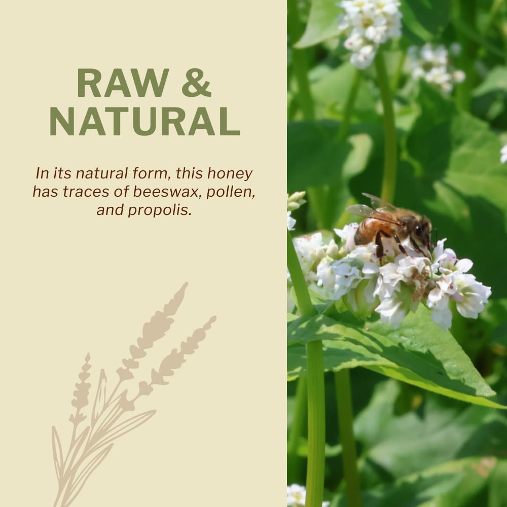 Oneroot – Canadian Raw Buckwheat Honey – Original – 1kg – High antioxidants - Canadian Distribution - Ships Free Within Canada on Orders Above CAD $199-1