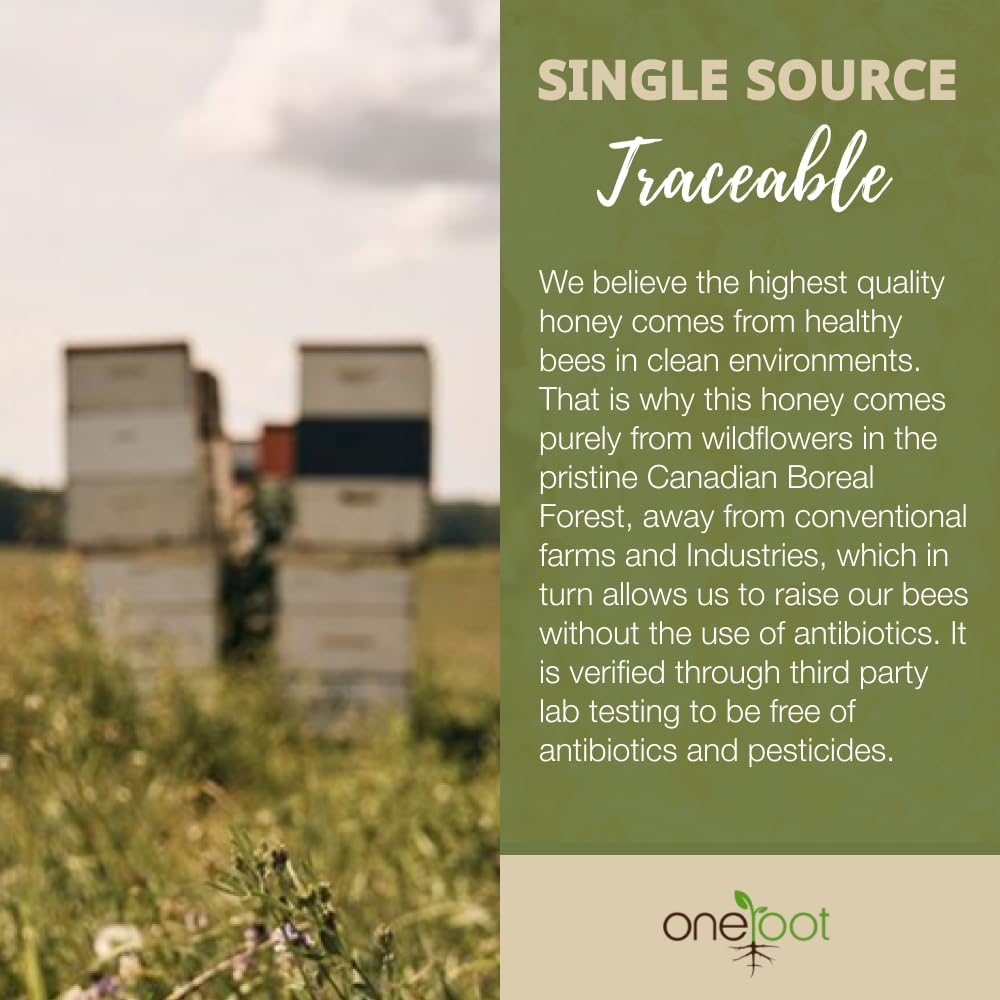 ONEROOT – Raw Wildflower Honey – Unpasteurized Creamed – 3kg - Canadian Distribution - Ships Free Within Canada on Orders Above CAD $199-2